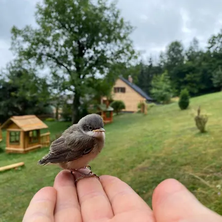 Detska - Cozy Retreat Near The Forest Chalet