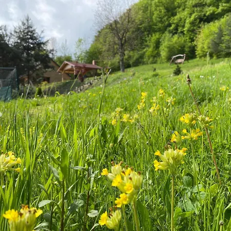 Detska - Cozy Retreat Near The Forest Chalet Zupkov