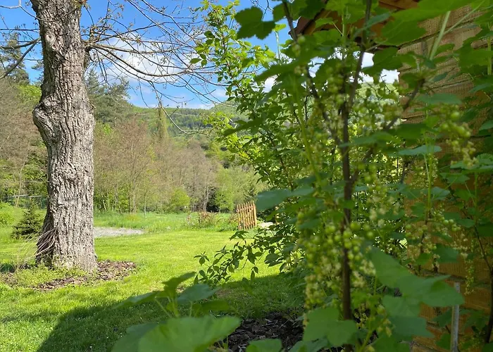 Detska - Cozy Retreat Near The Forest 샬레 Zupkov