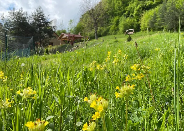 Detska - Cozy Retreat Near The Forest 샬레 Zupkov